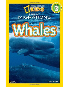 国家地理 少儿儿童版NGR Great Migrations Whales (Level 3)大迁徙：鲸鱼