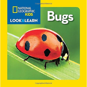 【原版书】【外图原版】进口英文 美国地理 少儿儿童版 National Geographic Kids Look and Learn: Bugs 虫子 纸厦门外图