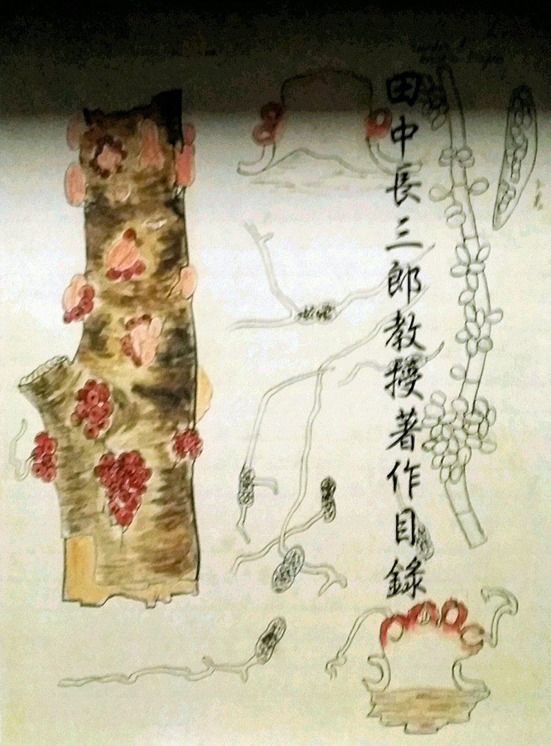 现货【外图台版】田中长三郎教授著作目录