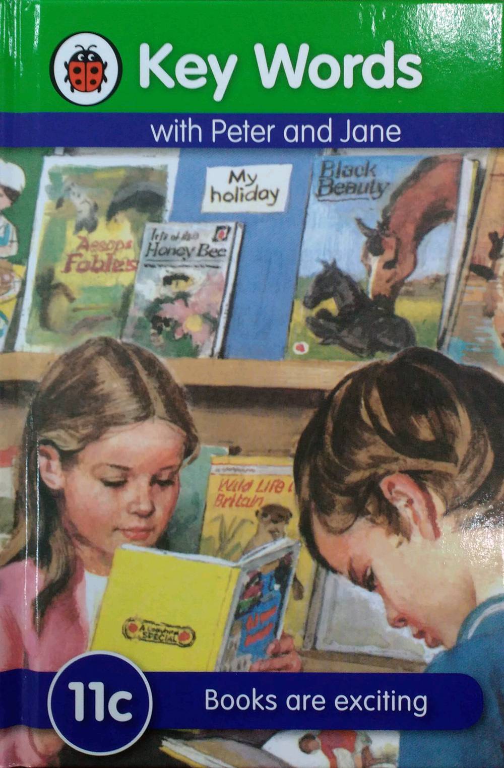 【外图原版】进口英文 Key Words: 11c Books are exciting 关键词：11C有趣的书