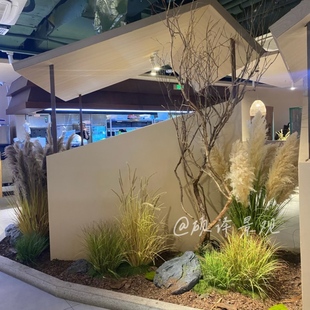 山野风假绿植物仿真大芦苇草商场橱窗装 饰造景秋色狗尾巴景观枯木