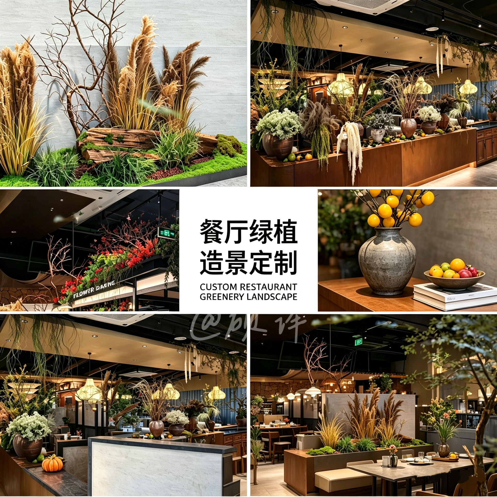 芦苇天然干花假草室内绿植造景北欧ins风假植物山野风景观摆件
