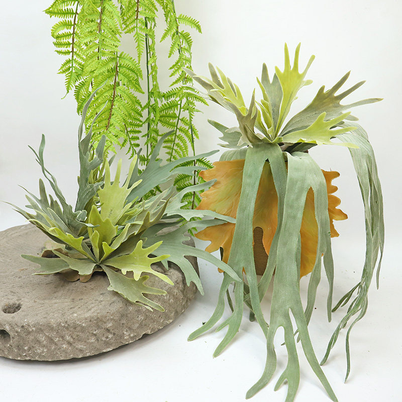 鹿角仿真花蕨牛角蕨鹿角草空气草垂吊软装造景绿植壁挂摆放植物花