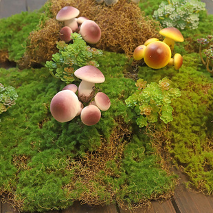 仿真青苔苔藓植绒草皮橱窗DIY造景花艺景观摆放装 饰绿草多肉蘑菇