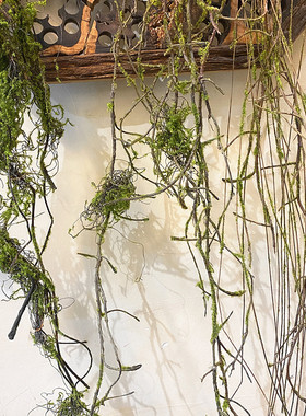 婚庆造景森系青苔藤假藤条