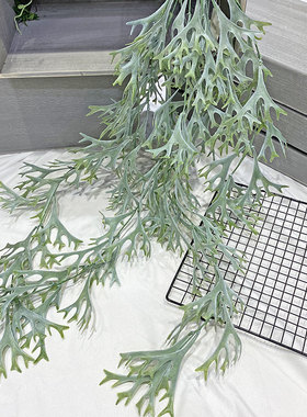 仿真沙漠热带雨林植物大鹿角叶壁挂塑料藤工程造景装饰垂挂绿植挂