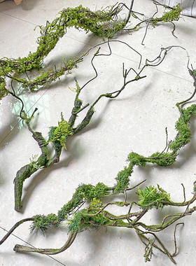 枯藤青苔藤仿真藤条大树藤发泡藤软装植物墙橱窗造景婚庆树枝花艺