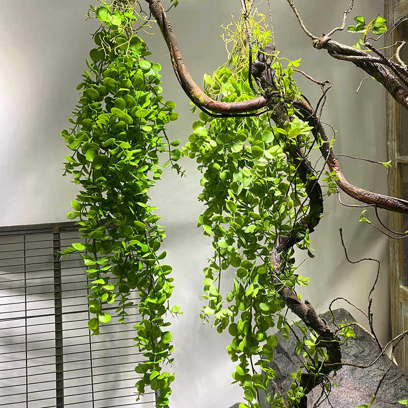仿真绿植垂挂植物空气叶松针草藤条婚庆花艺软装工程造景垂吊装饰