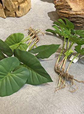 北欧仿真龟背竹芋头春雨绿叶假花客厅装饰植物居家餐厅龟背叶摆件