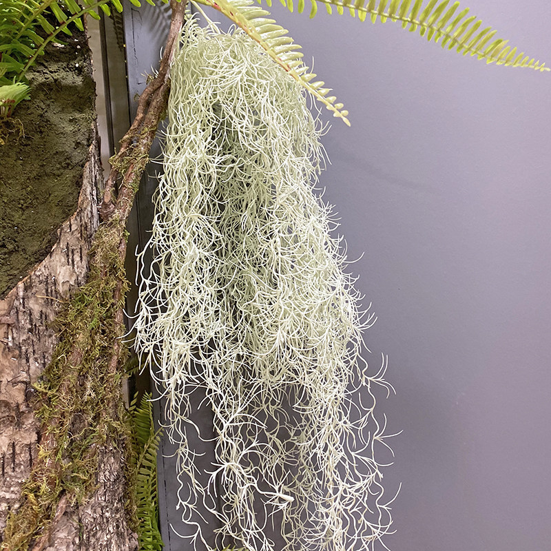 仿真藤草空气凤梨老人须松萝铁兰垂吊造景绿植壁挂吊兰植物墙配草