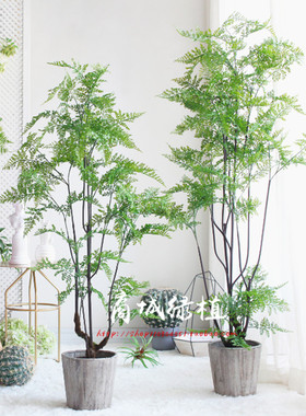 大盆栽热带雨林商城绿植假树