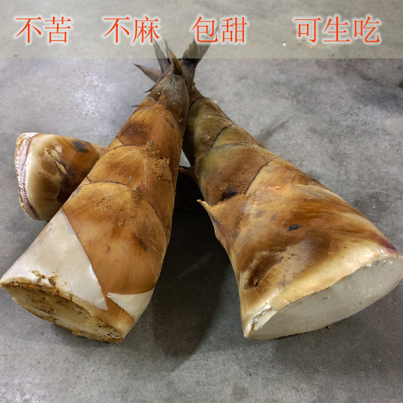 潮汕新鲜春笋现挖甜竹笋云南甜龙笋水果笋新鲜甜竹笋福建马蹄