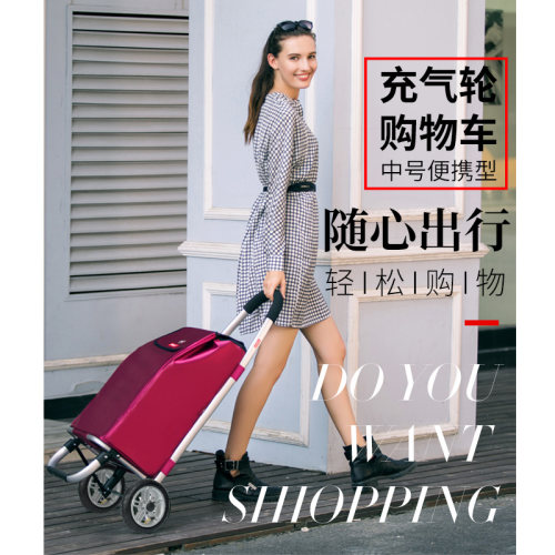折叠Finecci/致丽生活轻便拉杆车