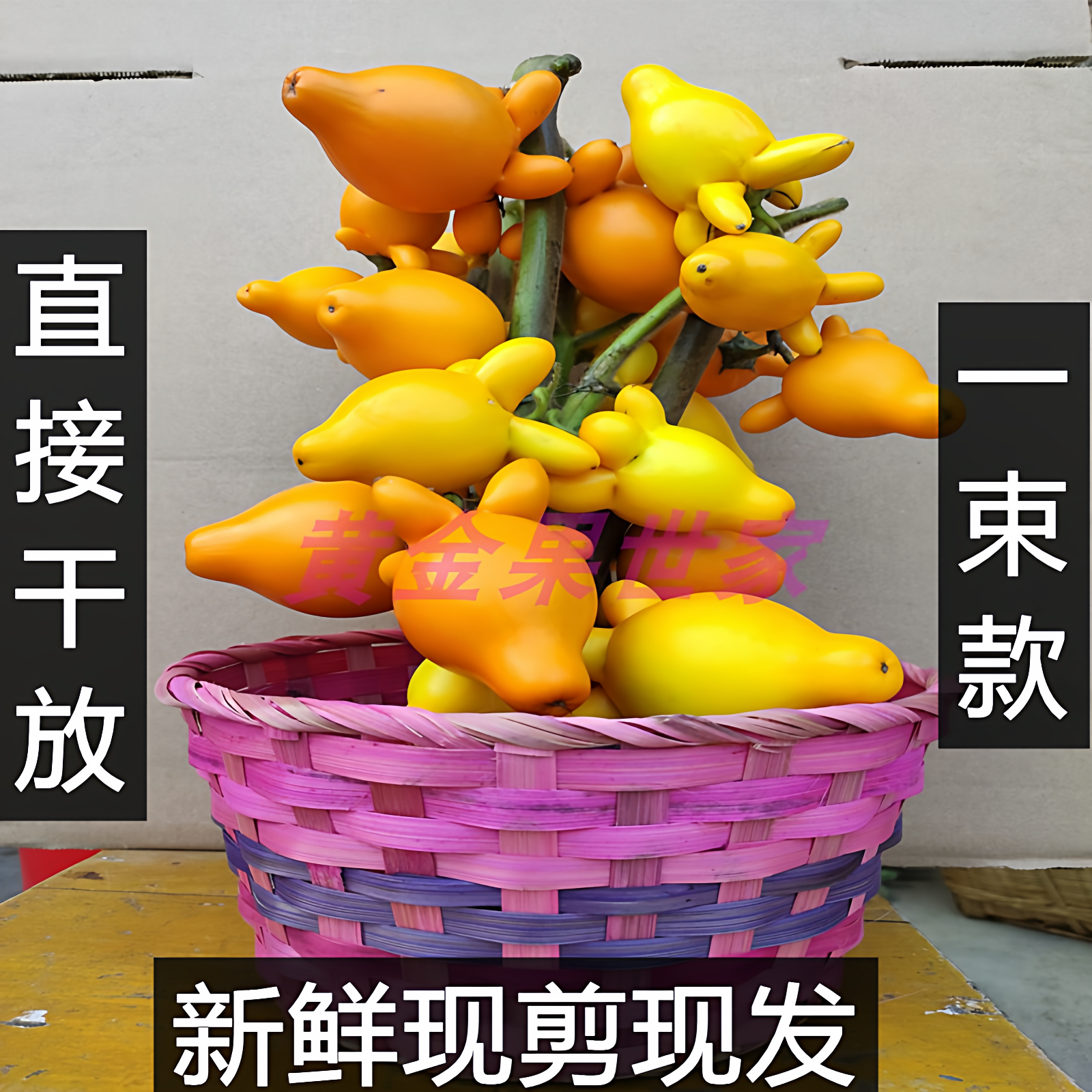 基地自种自销新鲜现剪五代果