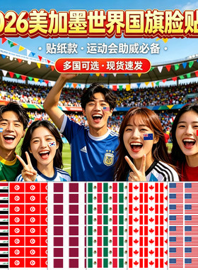 世界国旗脸贴纸48强美加墨装饰贴