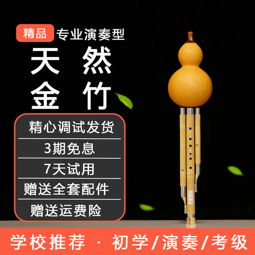 葫芦丝云乐坊入门乐器专业演奏