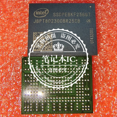 集成电路SSDPEBKF256G7BGA