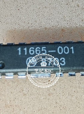 11665-001  11665-001  DIP 新的一个起拍