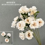 Три -голодные цветочные цветы Gardenia Иностранное пиони -симуляция цветок свадебный цветок xin xuelian свадебный зал декоративная дорога