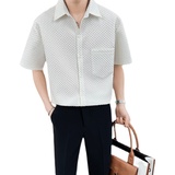 夏季男士纯色短袖衬衫轻熟风高品质抖音直播格子上衣C203-8817P58，男装T恤，电商C208