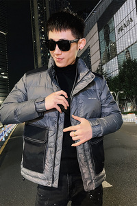 社会小伙冬季男士立领羽绒服修身潮流外套C203-5108-特P178控248图片
