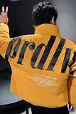 精神小伙立领休闲男生棉服字母印花帅气百搭棉衣男C203-1057-P118，男装棉衣，电商C208