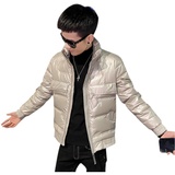 社会小伙冬季压花立领羽绒服男生流行外穿休闲外套C203-1030-P155，男装羽绒服，电商C208