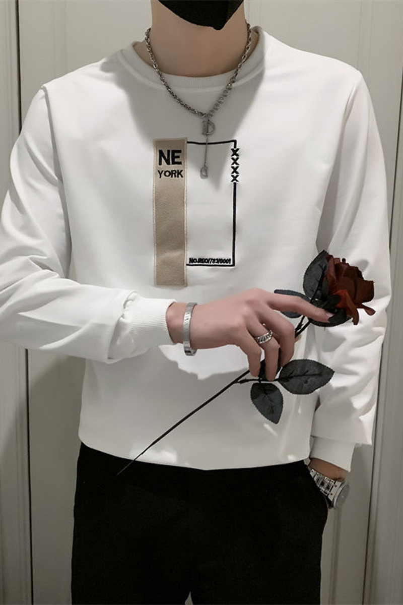 精神小伙春季男士圆领套头卫衣长袖修身刺绣上衣男C203-G5062-P48,男装卫衣,电商C208