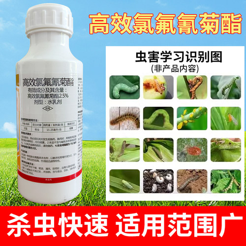 勇冠高效氯氟氰菊酯地上杀虫剂