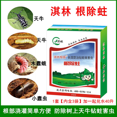 淇林除蛀根部浇灌天牛吉丁钻心虫