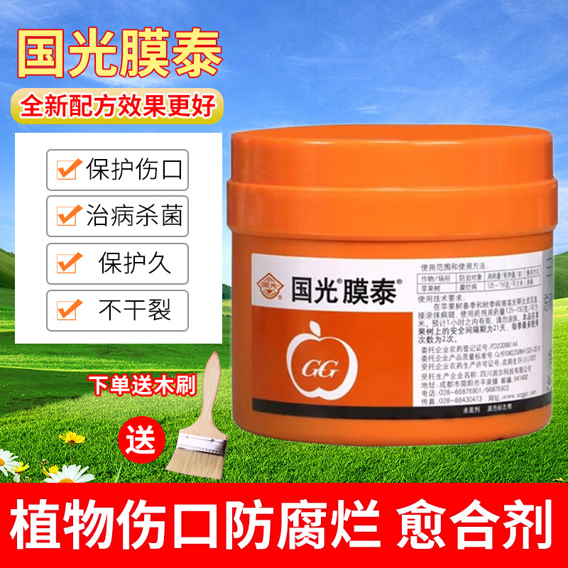 国光膜泰莫泰甲基硫菌灵伤口愈合剂果树木植物修剪嫁接涂抹杀菌剂