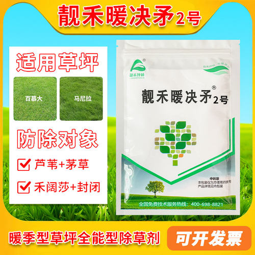 靓禾暖决矛2号暖季草坪除芦苇茅