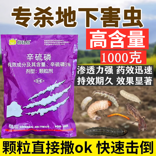 辛硫麟磷地下害虫专用药杀虫剂颗粒辛硫磷地老虎蛴螬蝼蛄老母虫药