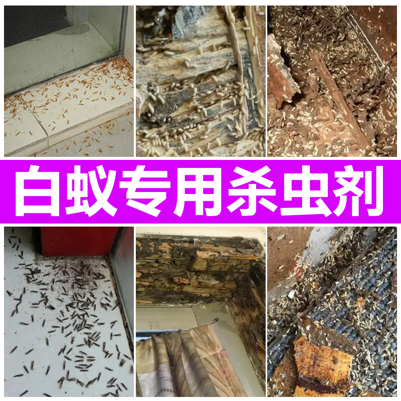 白蚁药全窝端灭家用除白蚁防治户外专用杀虫剂树木白蚁防治专用药 农用物资 杀虫剂 原图主图