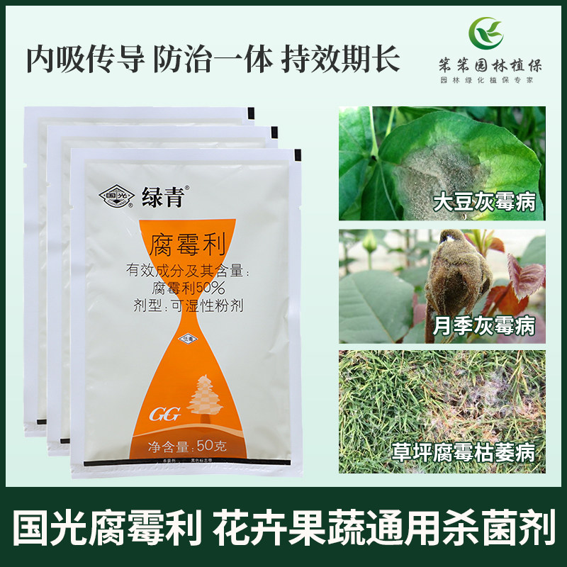 国光绿青腐霉利花卉葡萄灰霉病霜霉病草坪腐霉枯萎病杀菌剂花药剂