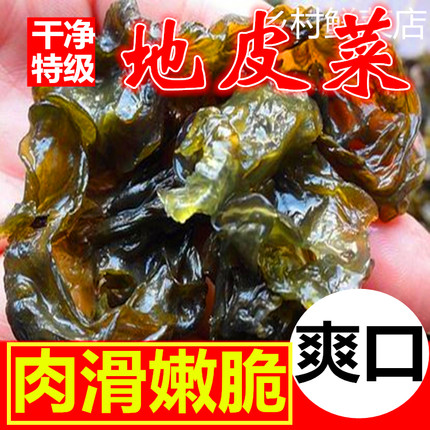 野生免洗地皮菜 免邮大山特产精品地耳干地达菜地衣500g野味