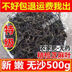 农家芝麻叶 新货 河南自晒干菜叶子 土特产干货500克包邮可批新鲜