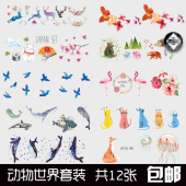 鲸鱼蝴蝶鹿 持久男女情侣自然刺青 12张 动物世界防水纹身贴套装