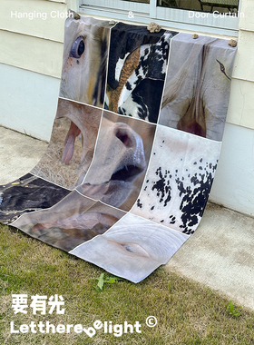 原创客厅装饰少女卧室床头宿舍户外挂布ins风墙面装饰布艺背景布