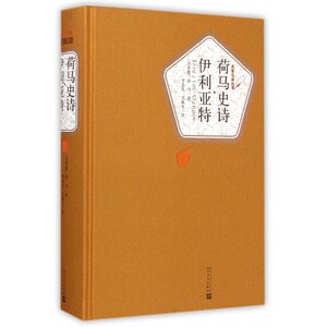 现货 荷马史诗 伊利亚特 精装 古希腊荷马 著 罗念生 王焕生 译 人民文学出版社 名**译丛书 人民文学出版社rw