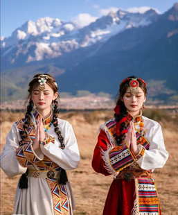 藏服女款加厚款新款演艺藏裙西藏服女款藏袍丁真藏装藏服女长裙民