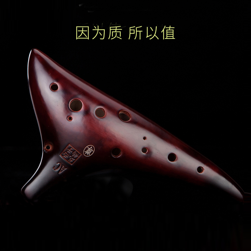 西子龙韵专业儿童送教材小乐器