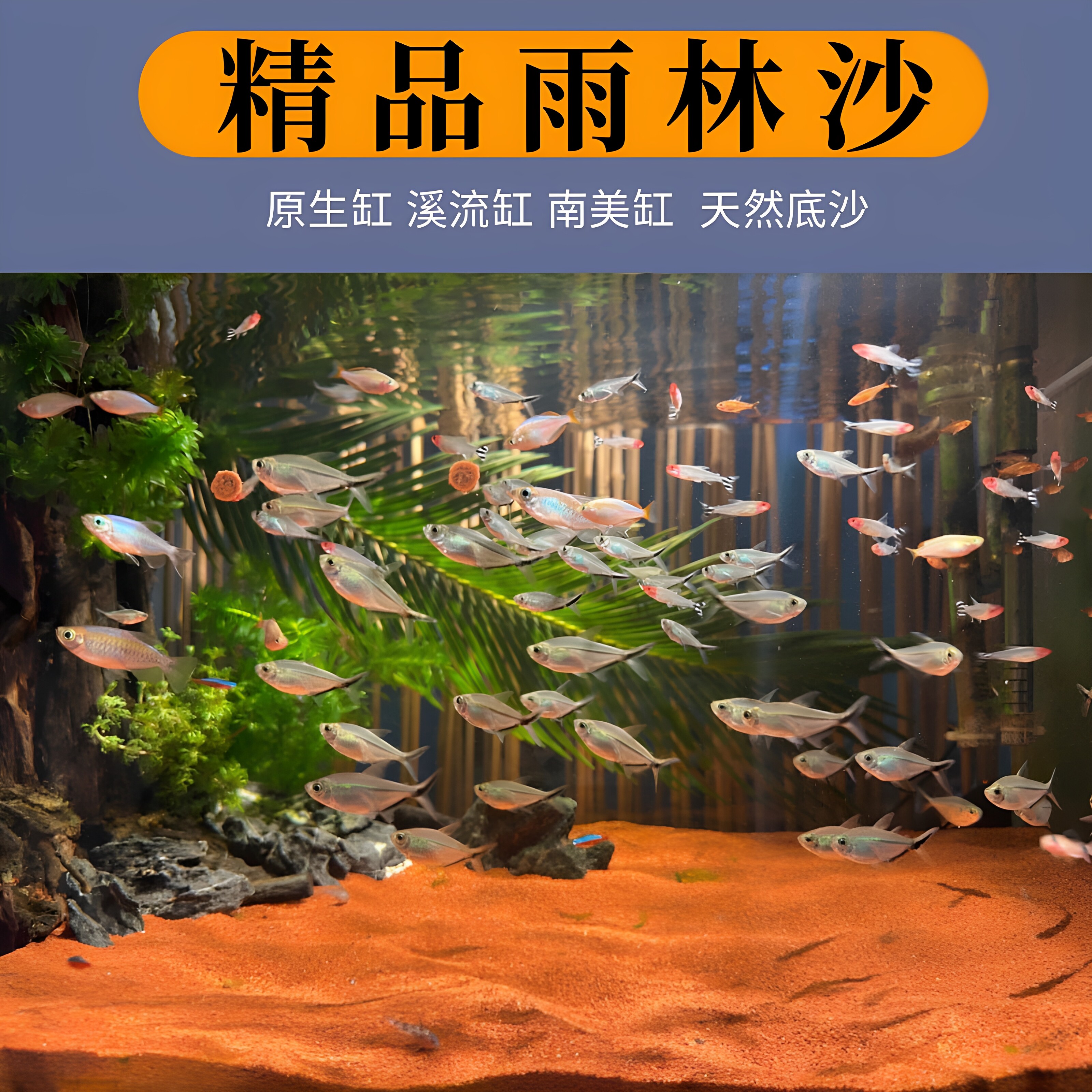 臻云南美雨林鱼缸造景底砂