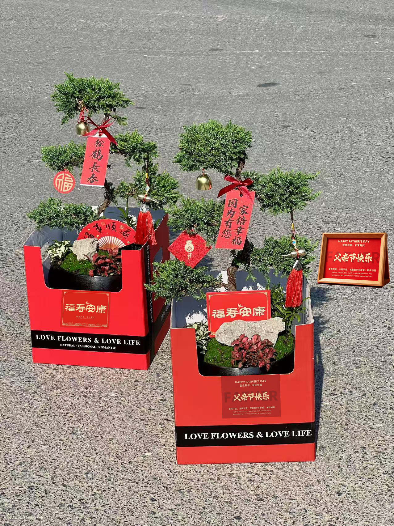 五层塔松高档盆栽父亲节送导师开业乔迁送礼生日送长辈领导退休礼