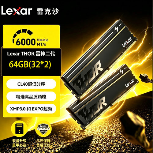 雷克沙DDR532GB/64GB台式内存条