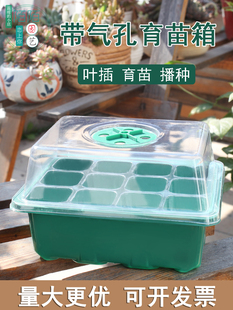多肉播种育苗盆育苗箱扦插叶插12孔6孔塑料穴盘育苗块保温闷养盖
