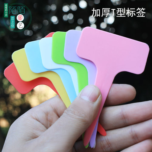 插牌花卉标识牌塑料标签huasu
