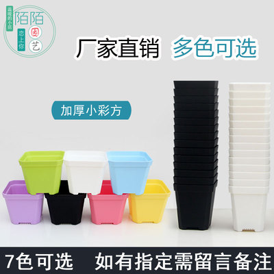 塑料多肉花盆彩色加厚大迷你植物