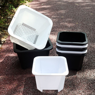 景天盆老多肉群生插卡简约风绿植