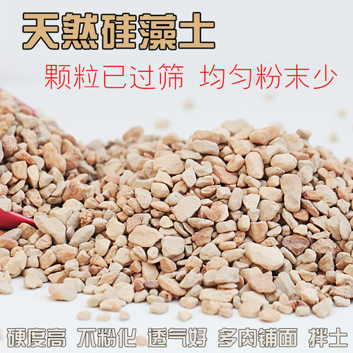多肉颗粒种植君子兰铺面石硅藻土